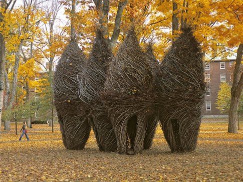 Patrick Dougherty Foto Bowdoin College