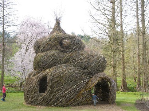 Patrick Dougherty Foto Rob Cardill