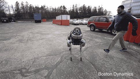 Spot: il nuovo cane robot di Google