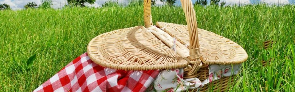 Primavera alle porte, è tempo di picnic