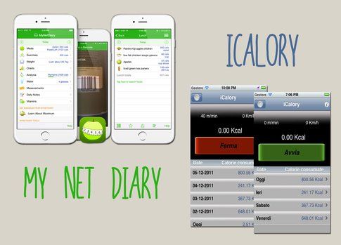 MyNetDiary e iCalory