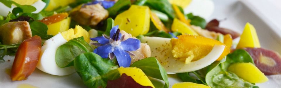 Insalata primavera, un piatto leggero per salutare la nuova stagione