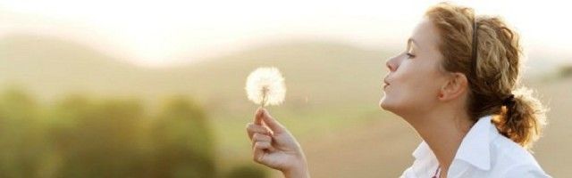Un piccolo fiore può rappresentare un incubo per chi ne soffre