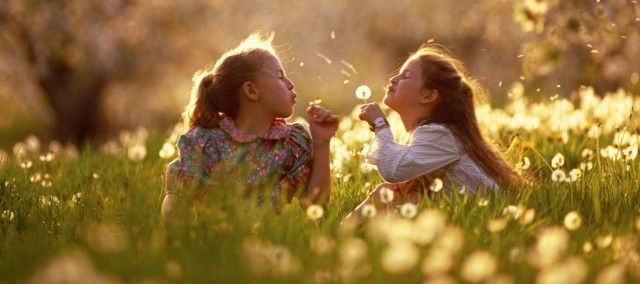 Le allergie colpiscono uomini, donne e, purtroppo sempre più spesso, i bambini.