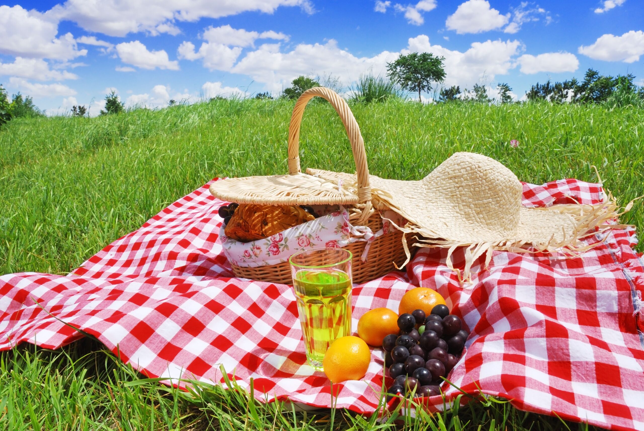 Come organizzare il perfetto set picnic fai da te