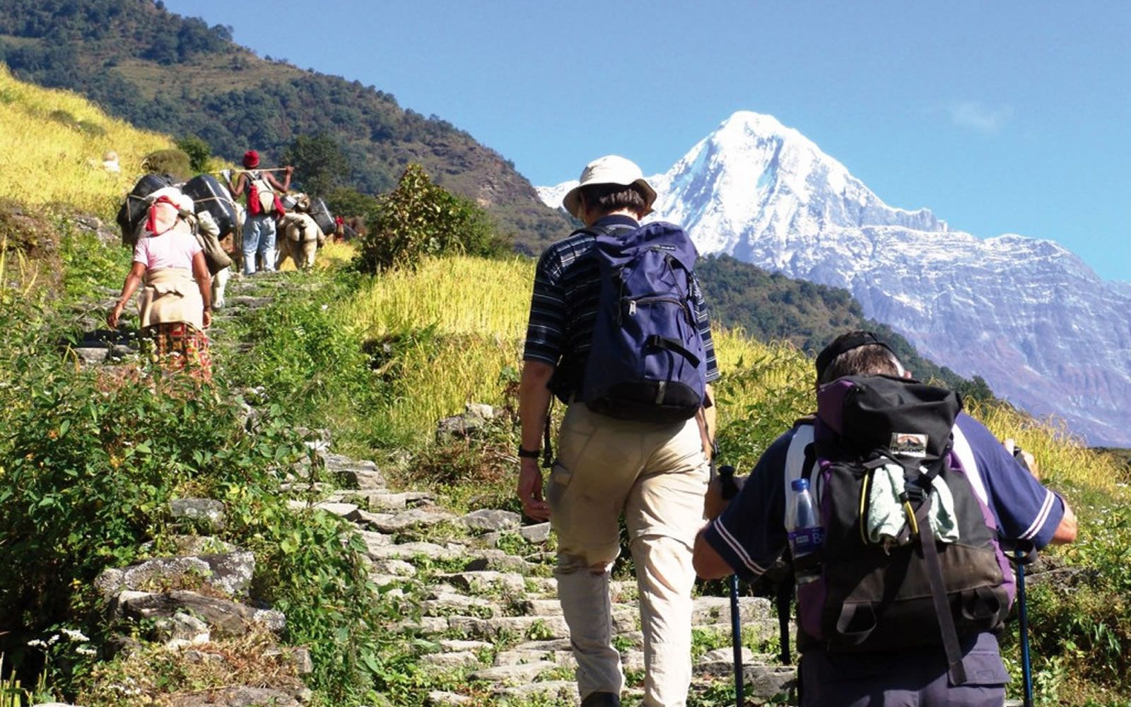 9 consigli per fare trekking in estate