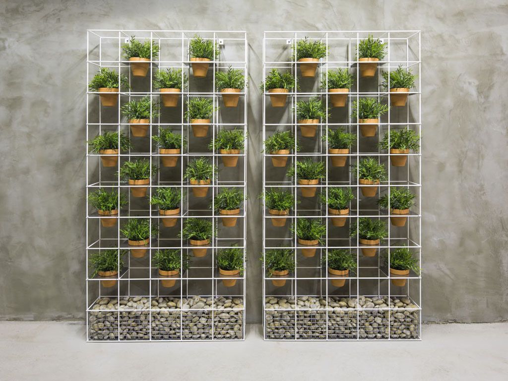 5 idee per creare bellissimi giardini verticali