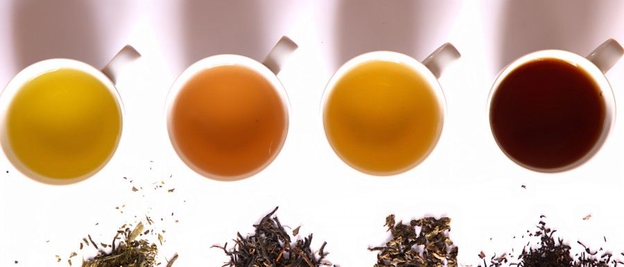 Tea_in_different_grade_of_fermentation