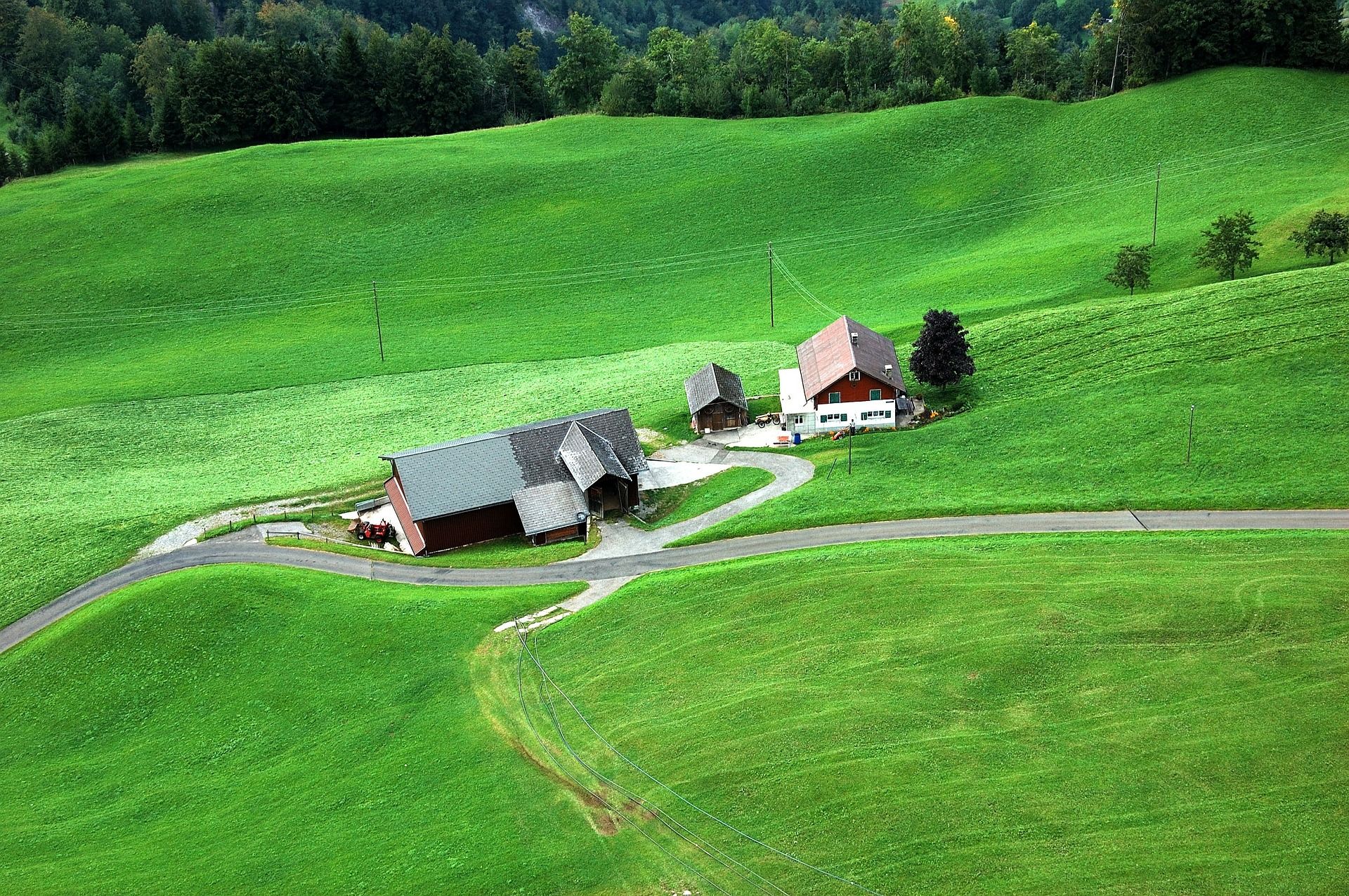 Woofing, quando la vacanza diventa rurale e bucolica
