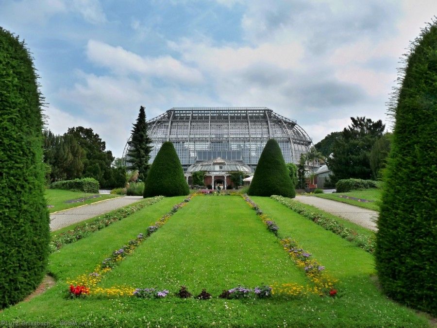 bgbm_-_botanischer_garten_berlin-dahlem_10_20131220_1974971841