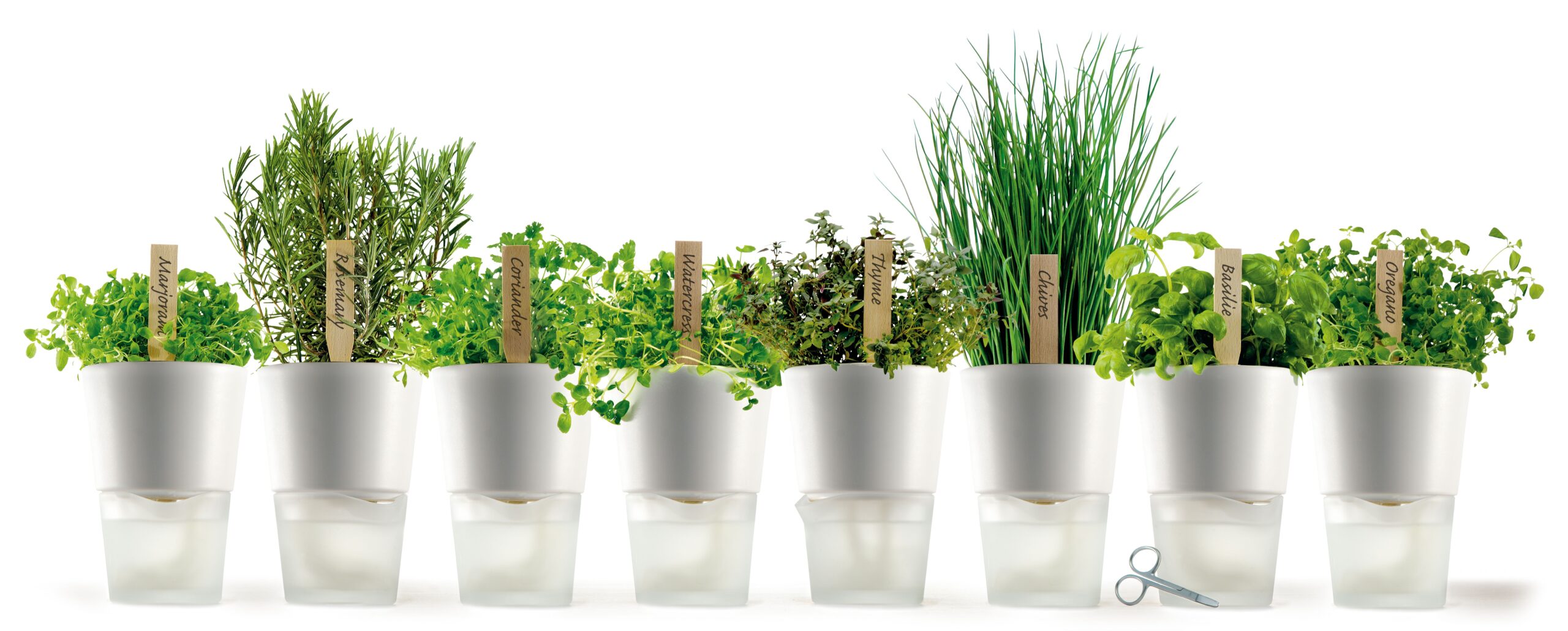 Quattro materiali per i vasi da giardino