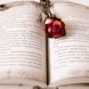 Giornata del Libro