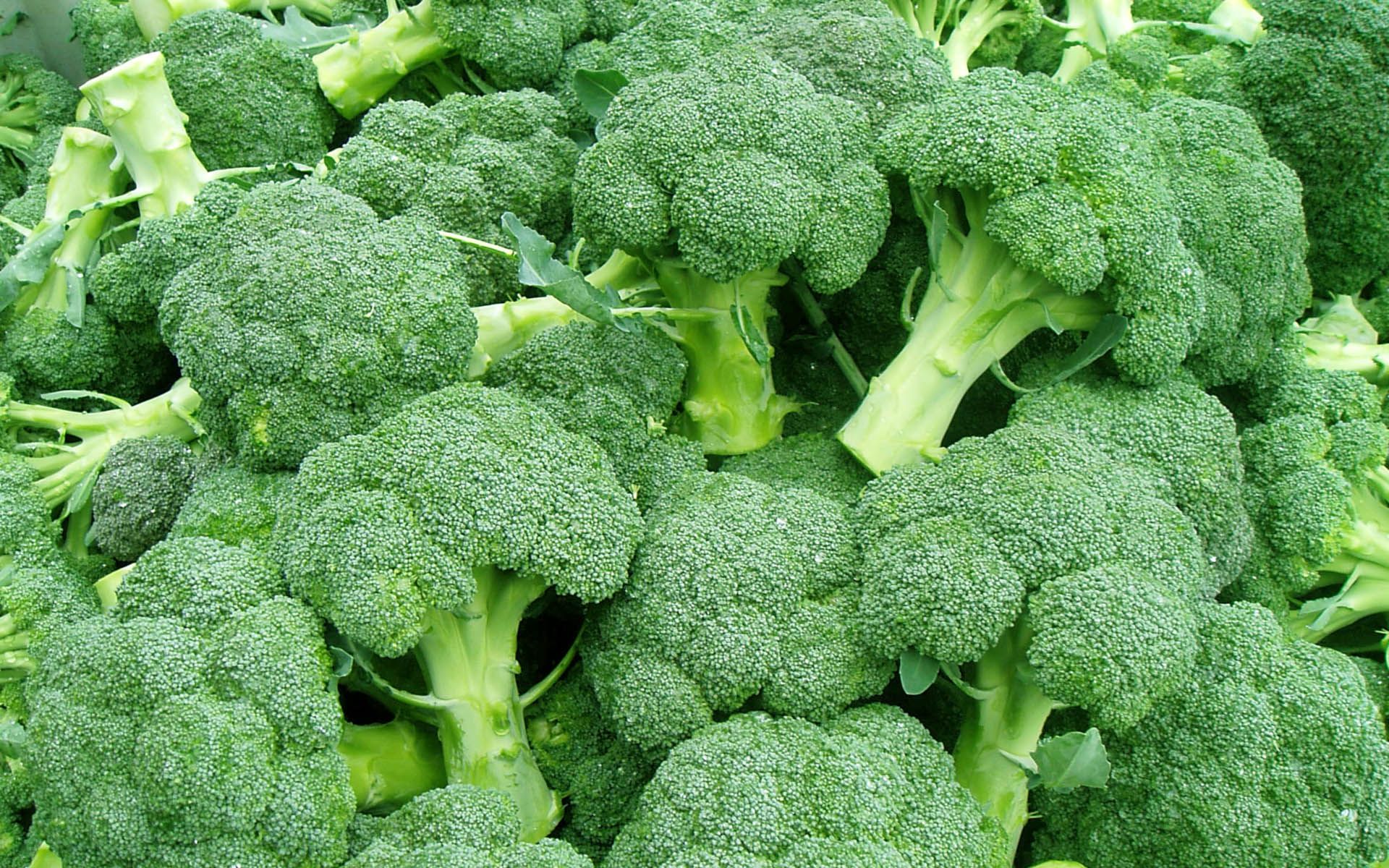 Il super broccolo che contrasta il colesterolo cattivo