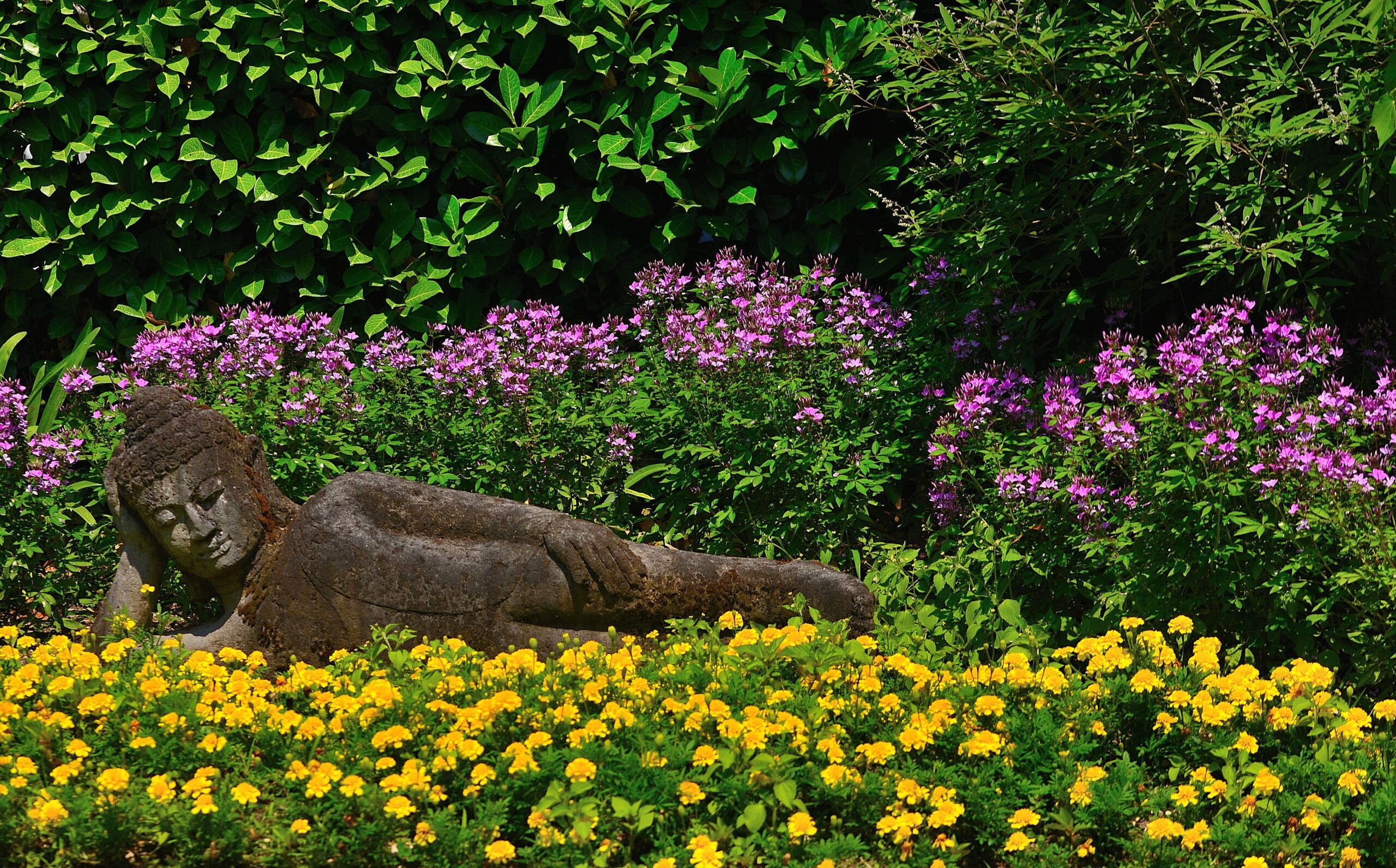 I più bei giardini botanici del mondo