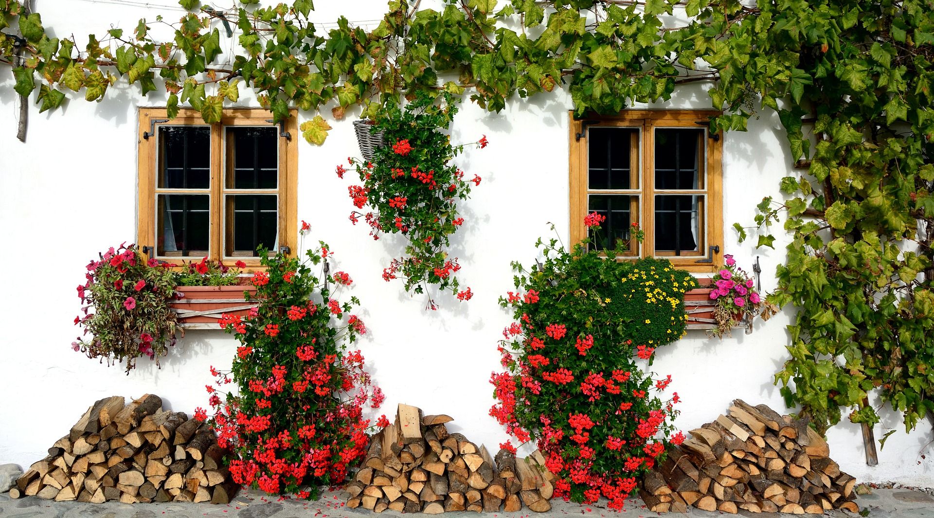 Fioriere da balcone: come valorizzare piante e fiori in vaso