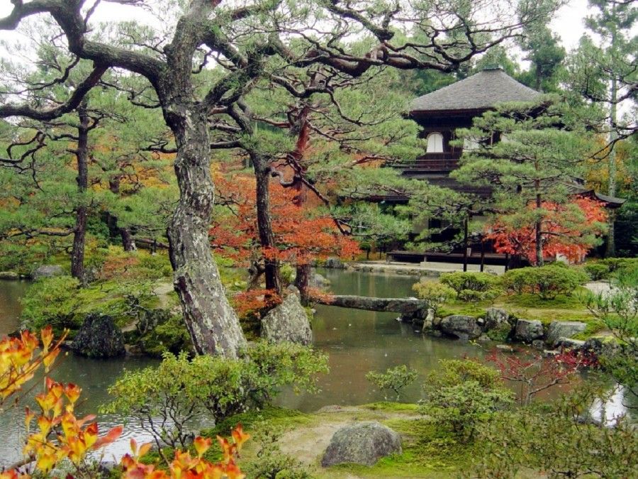 jardin-japonais