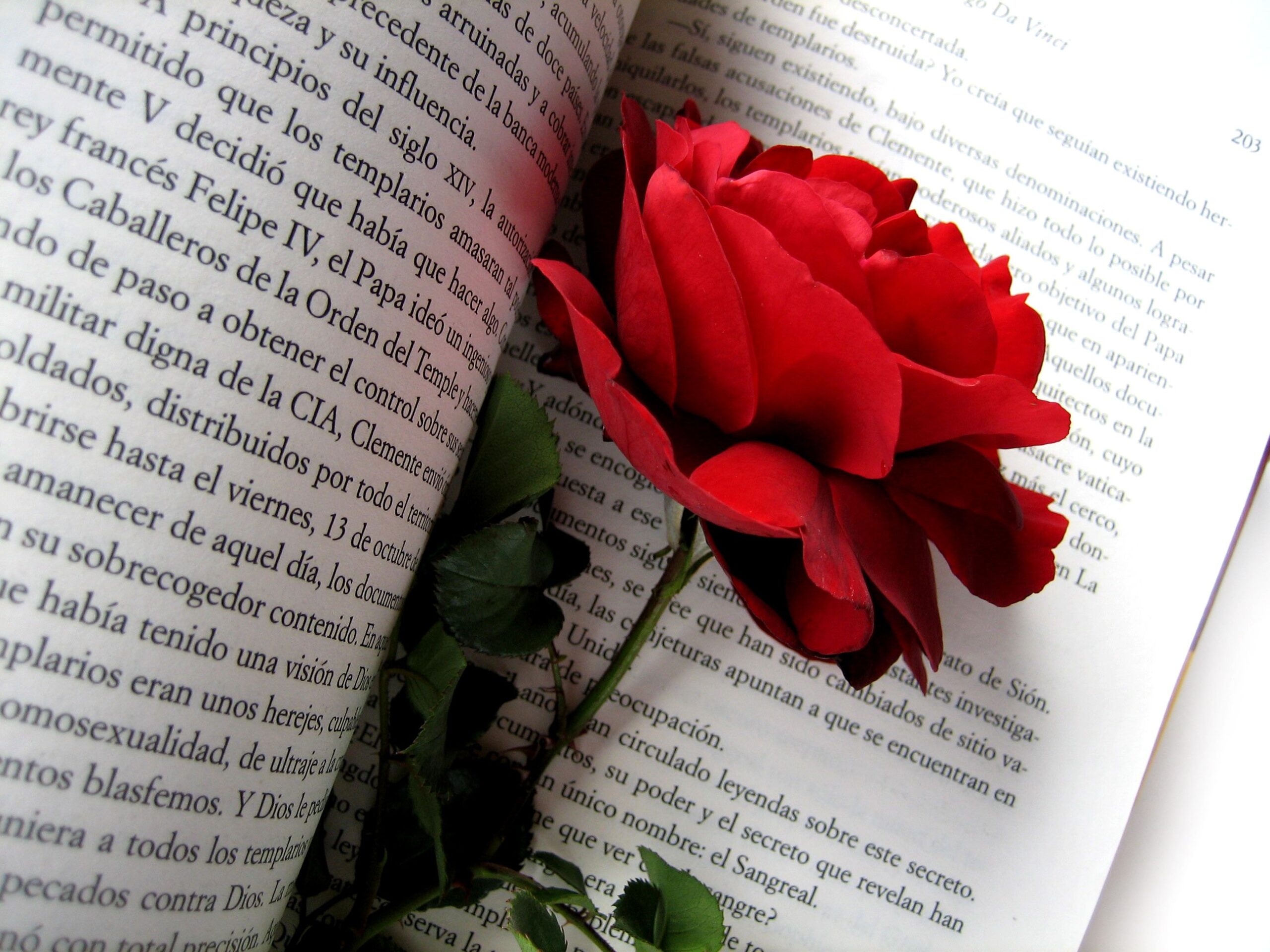 La festa di Sant Jordi: libri, rose e amore
