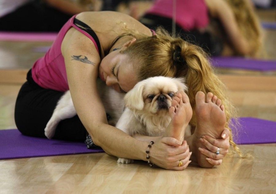 Il Doga consiste nel fare YOGA in sintonia con il proprio cane che, volendo, può partecipare attivamente alla lezione