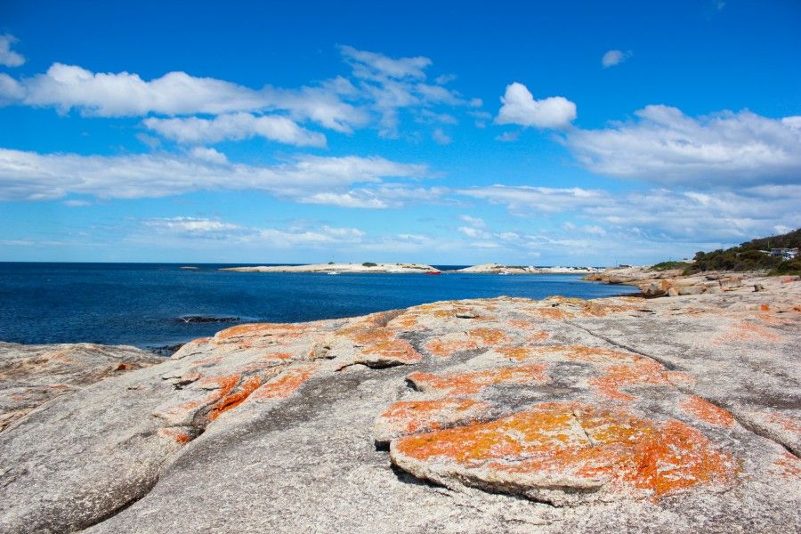 Le rocce arancioni, il panorama costiero della Tasmania