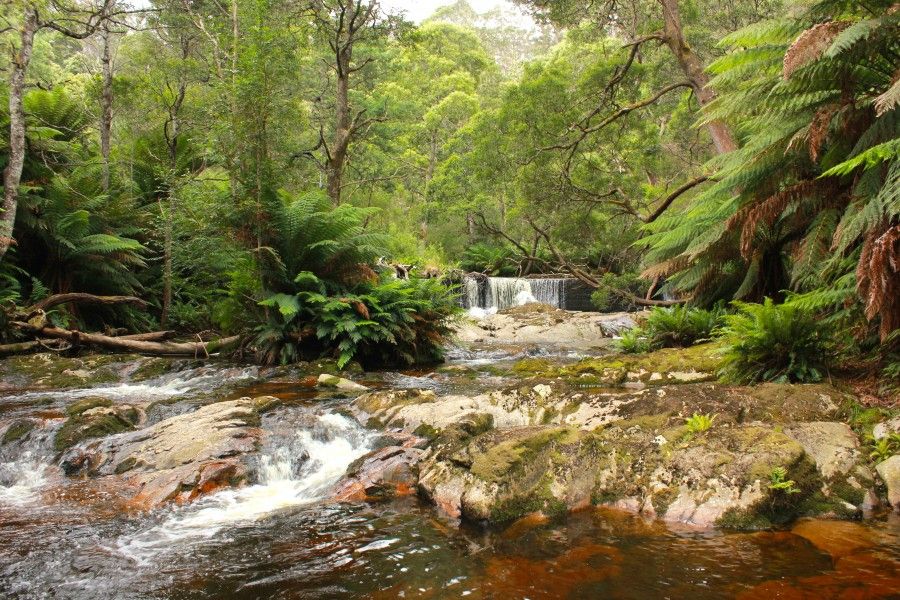 I Parchi Naturali della Tasmania