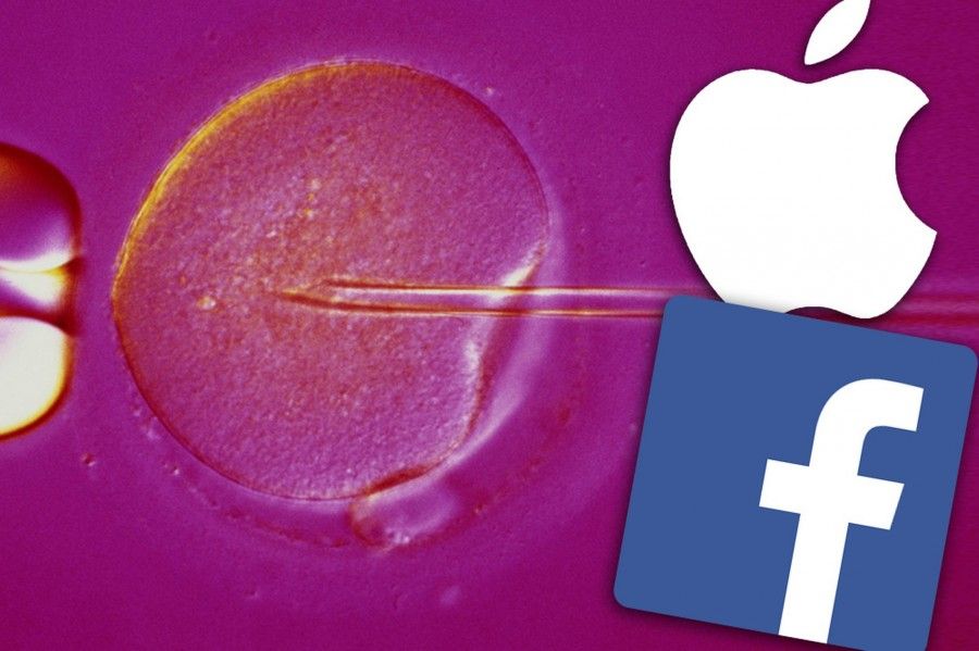 apple-facebook-freeze-eggs-main1