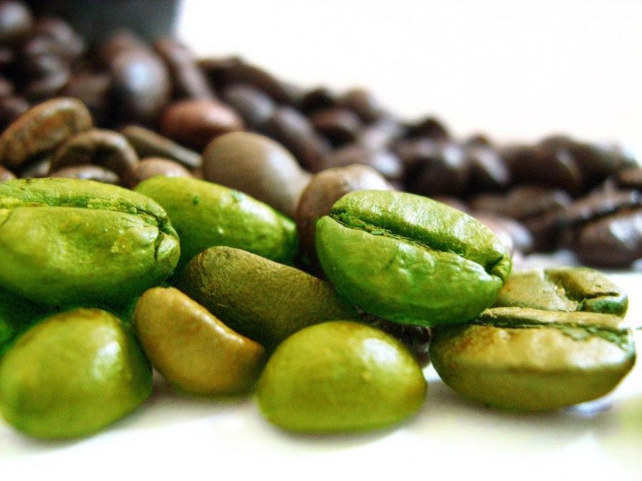 Il caffè verde deve il suo colore al fatto che anziché torrefatto viene lasciato essiccare al sole