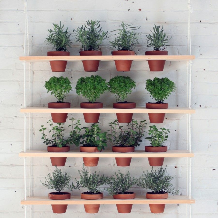 homemade-modern-diy-plant-shelves-gardenista-4