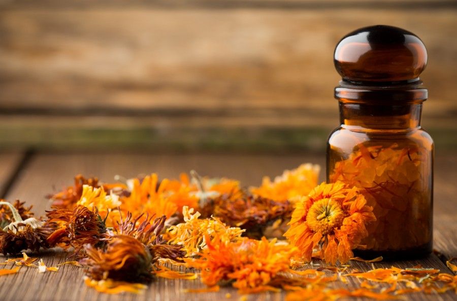 Calendula homeopathic.