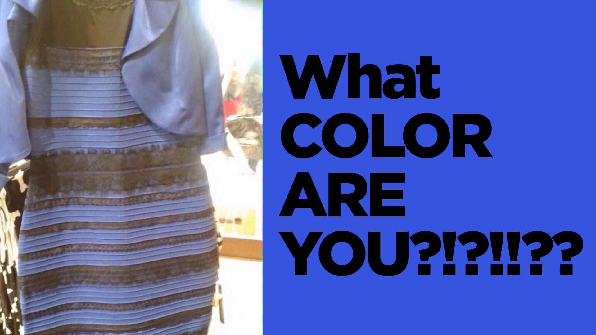 Il caso #TheDress è diventato scienza