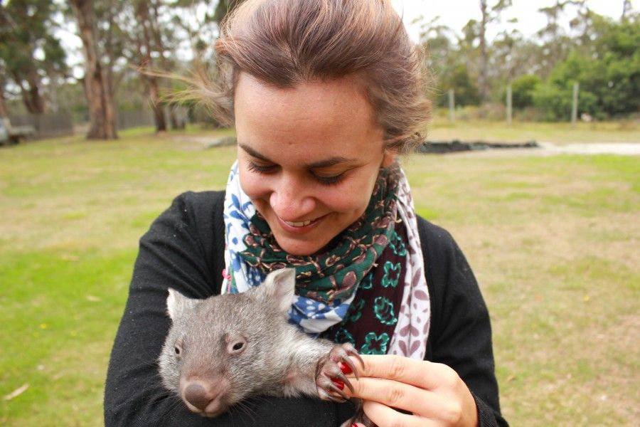 Angel, il cucciolo di wombato più dolce del mondo!