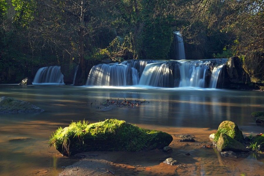 aaaa