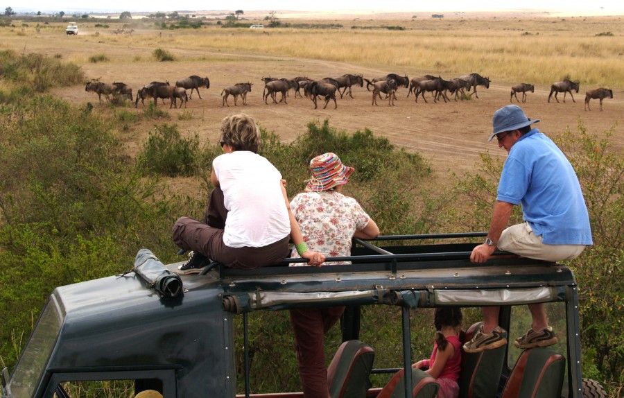 Safari in sudafrica