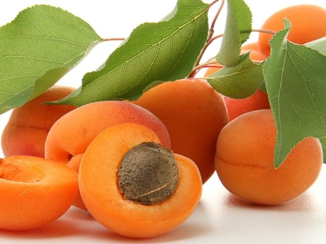 Albicocche