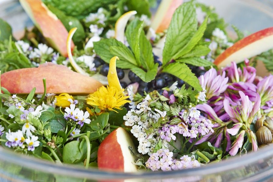 insalata di fiori eduli