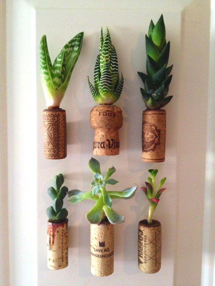 cork_planters_UT