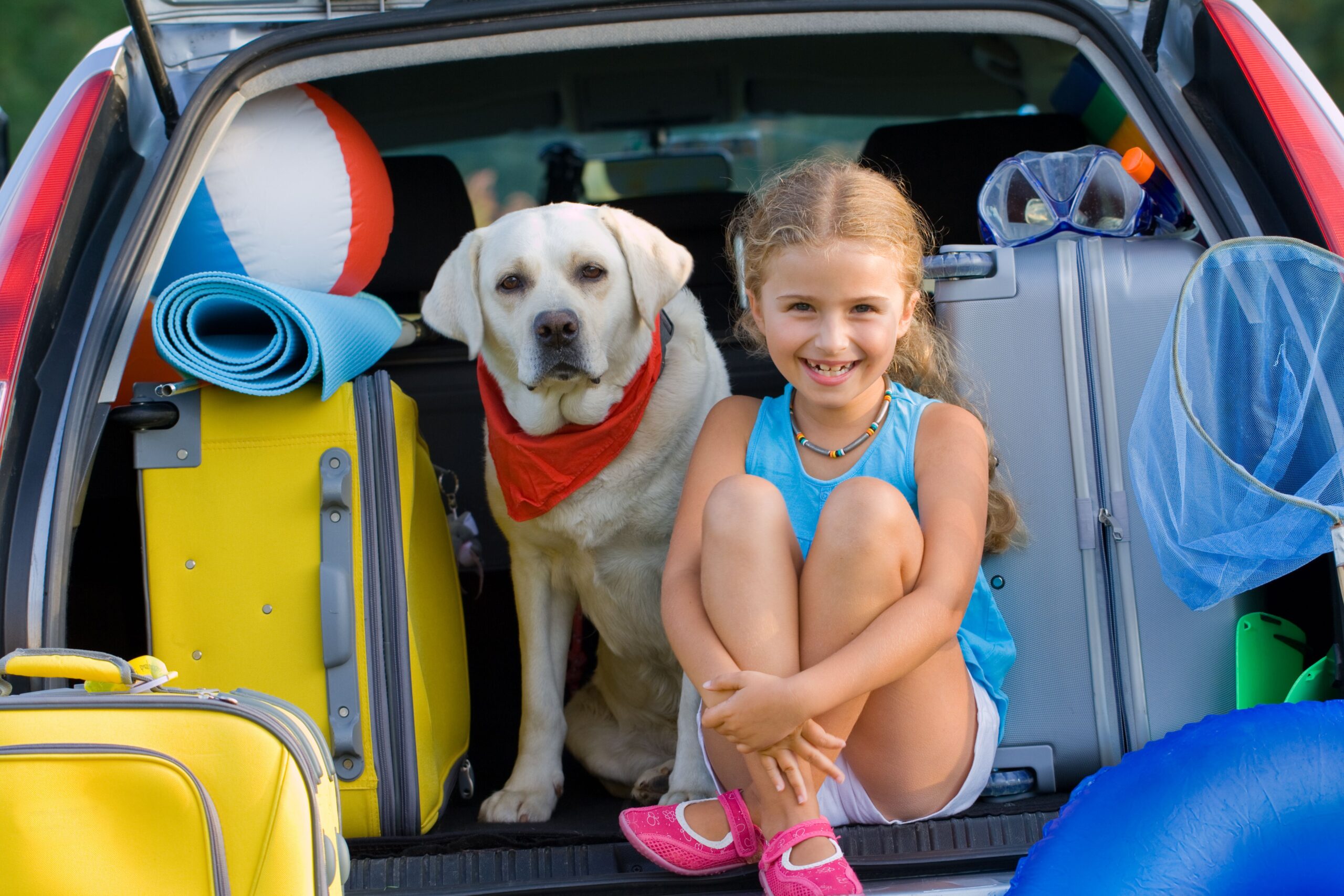 Viaggiare con il cane