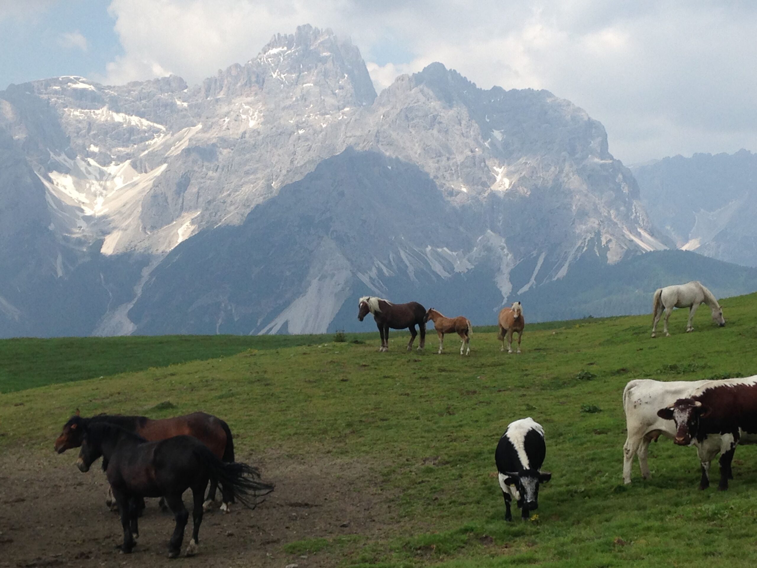 Alta Pusteria: sport, natura ed emozioni forti