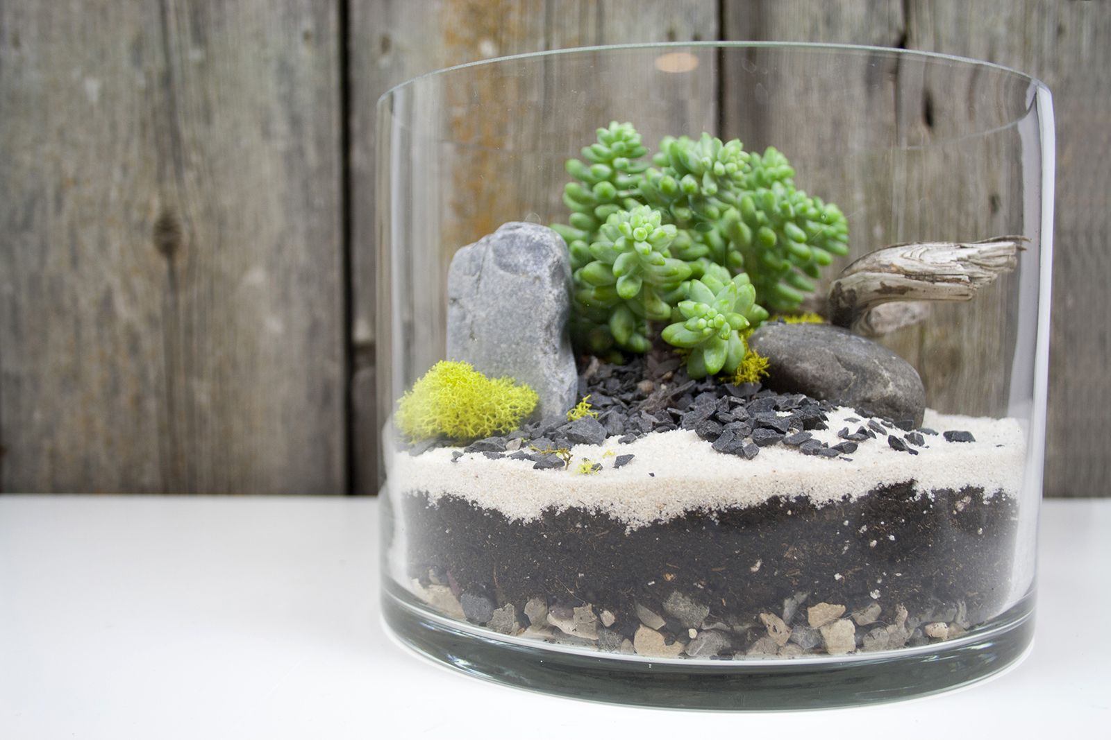 composizione piante grasse in vaso di vetro con sabbia