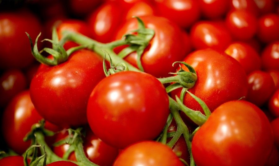 Tomatoes are displayed at the Australian booth of the so-called Green Week (Gruene Woche) Agriculture and food Fair in Berlin on January 20, 2012. Romania is the fair's guest country. AFP PHOTO / ODD ANDERSEN (Photo credit should read ODD ANDERSEN/AFP/Getty Images)