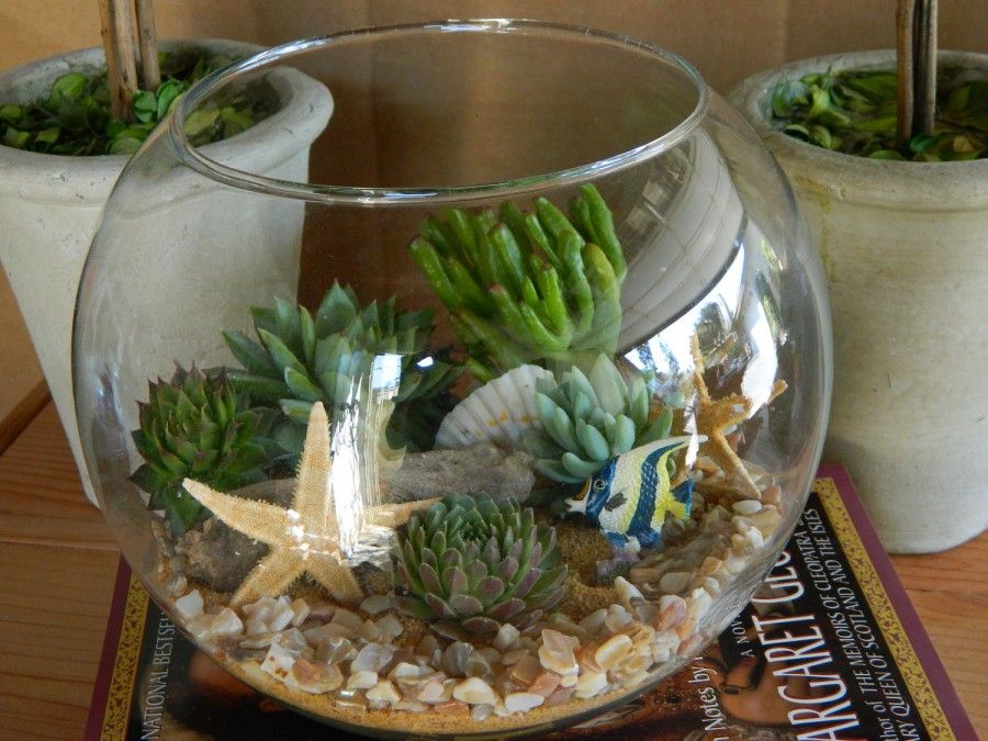 terrarium marino etsy