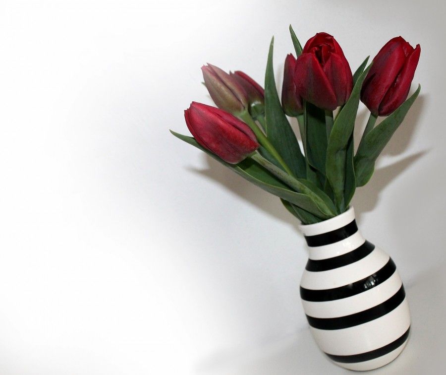 tulips-743775_1920