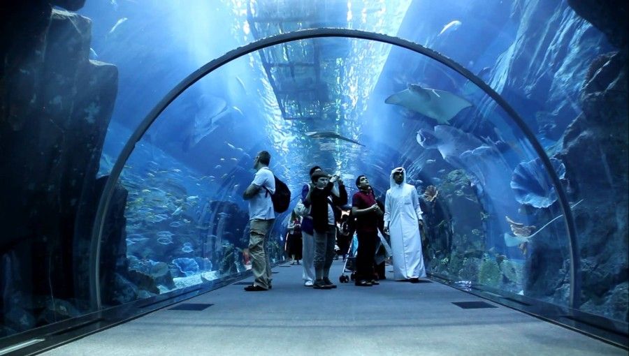 01Dubai Mall Aquarium