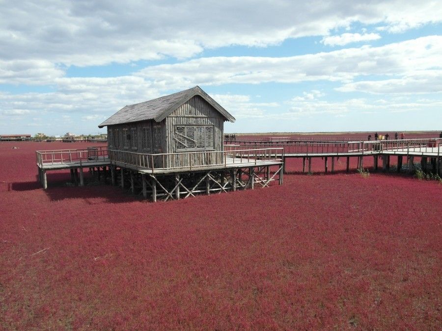 07Red Beach, Panjin