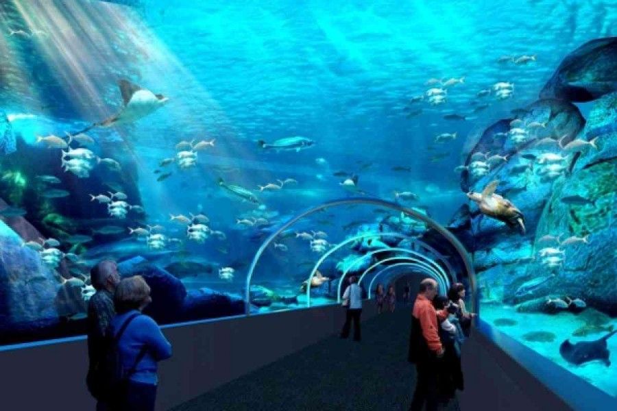 07Two Oceans Aquarium