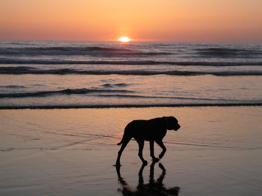 Oregon.2008.SunsetOnBeach.Keiko