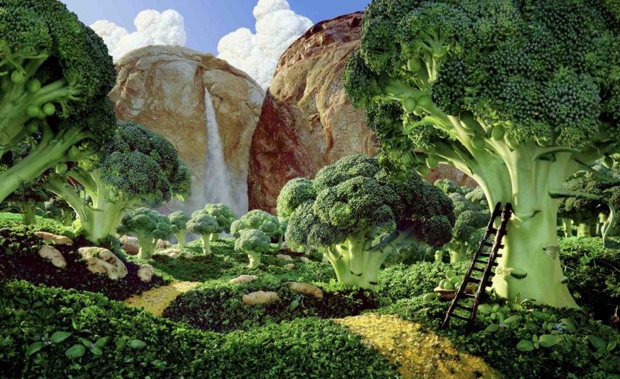 Brocolli Forest Used in Finland for Voimmarrini Butter campaign in 2000 for one year