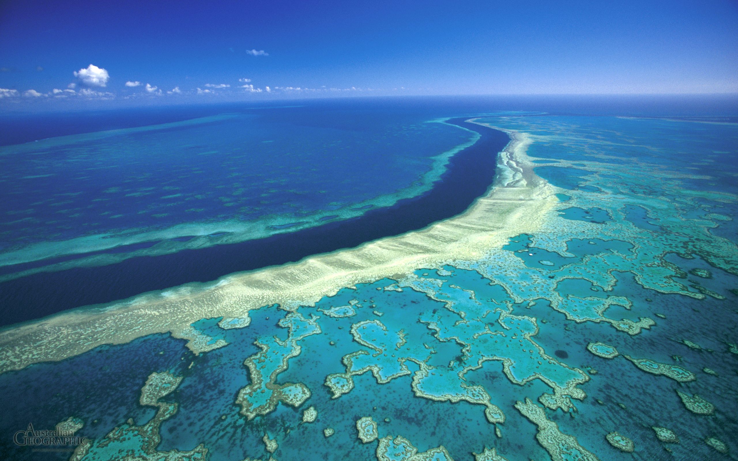 5 motivi per visitare la Grande Barriera Corallina in Australia