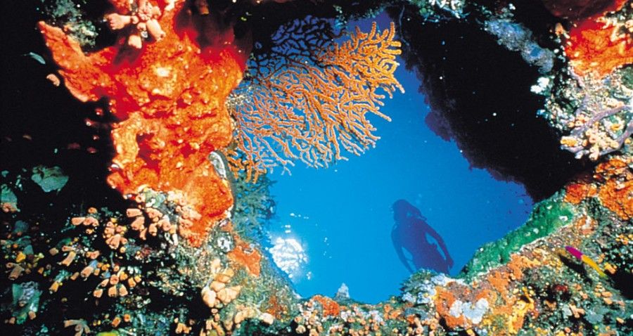 grande-barriera-corallina-australia2