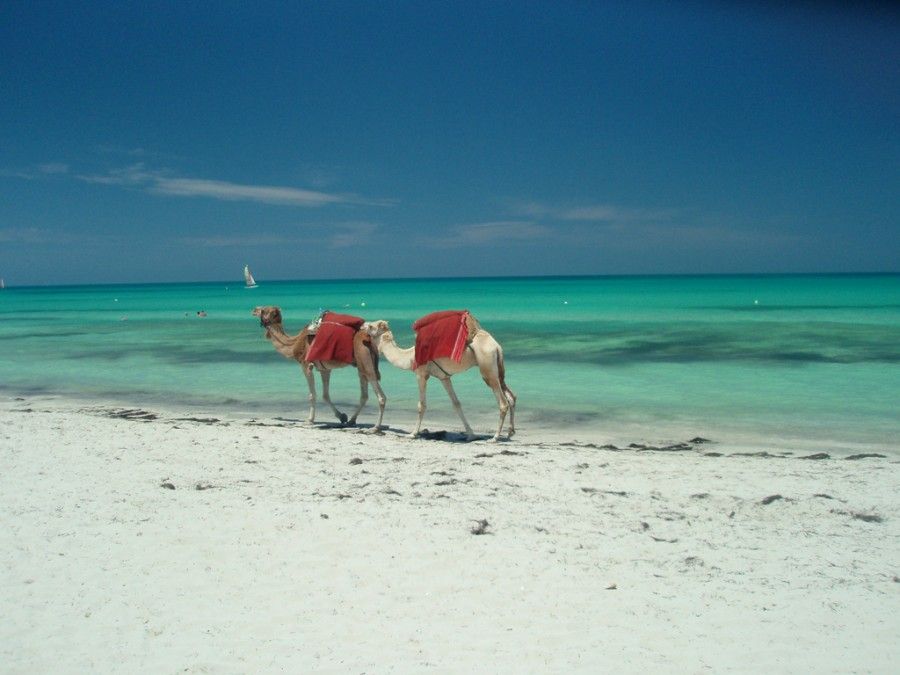 isole-africane-Djerba