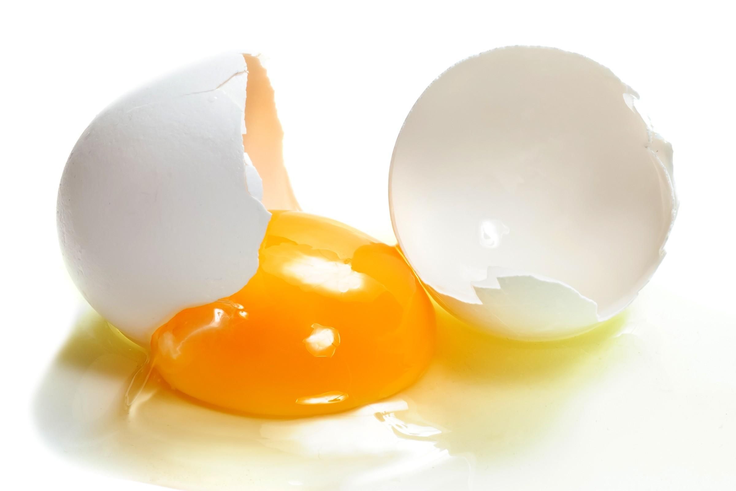 Come cuocere una frittata di albumi al microonde